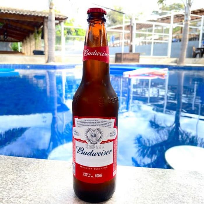 Budweiser 600ml